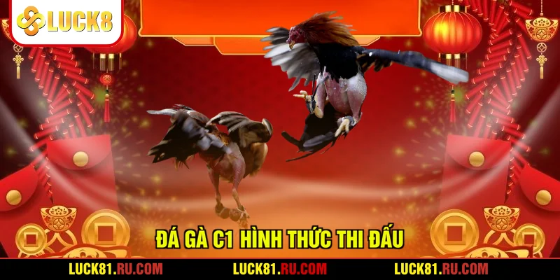 Đá gà C1 hình thức thi đấu