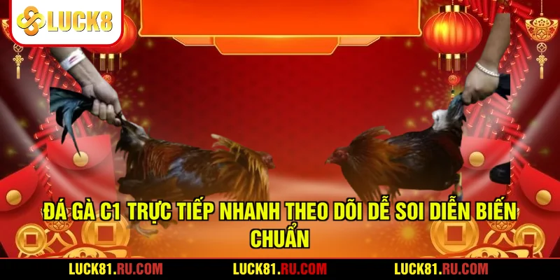 Đá Gà C1 Trực Tiếp Nhanh Theo Dõi Dễ Soi Diễn Biến Chuẩn
